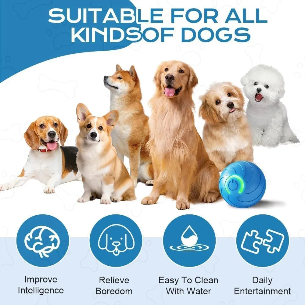 Pet Toy Ball with Tail Rope，Smart Automatic Pet Chase Ball Toy, Upgraded Speedy Tail Kitten Toy for Bored Indoor Adult Pets