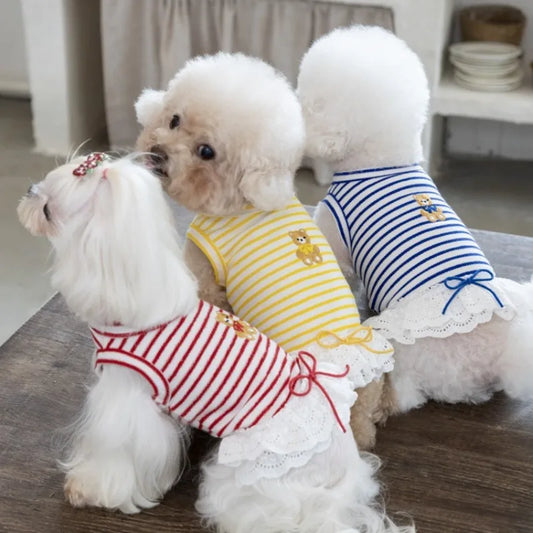 Pet Thin Striped Dress Dog Teddy Small Dog Yorkshire Lace Vest Dog Dresses for Small Dogs Puppy Clothes