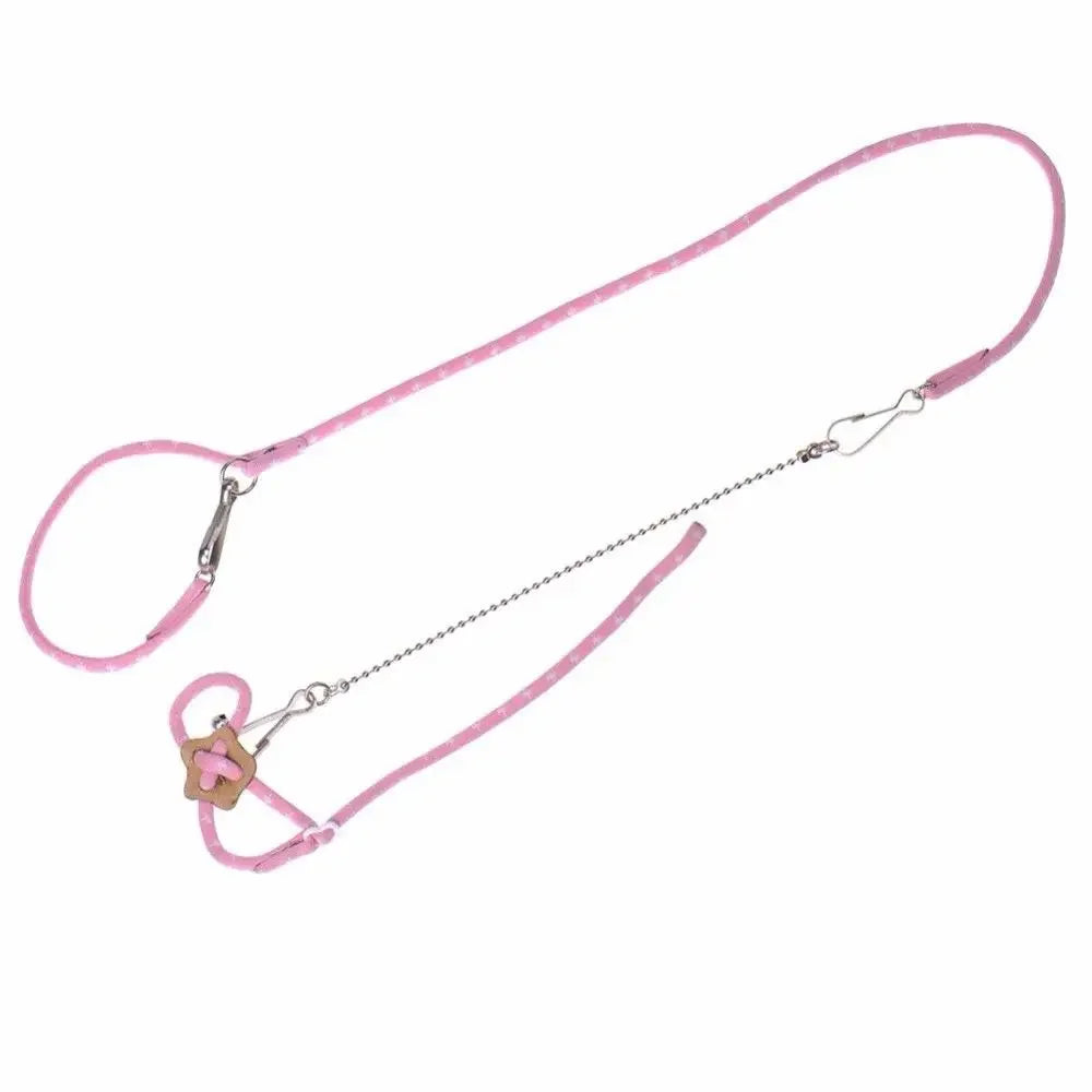 Small Pet Harness and Leash Set with Bell - Blue/Pink Nylon