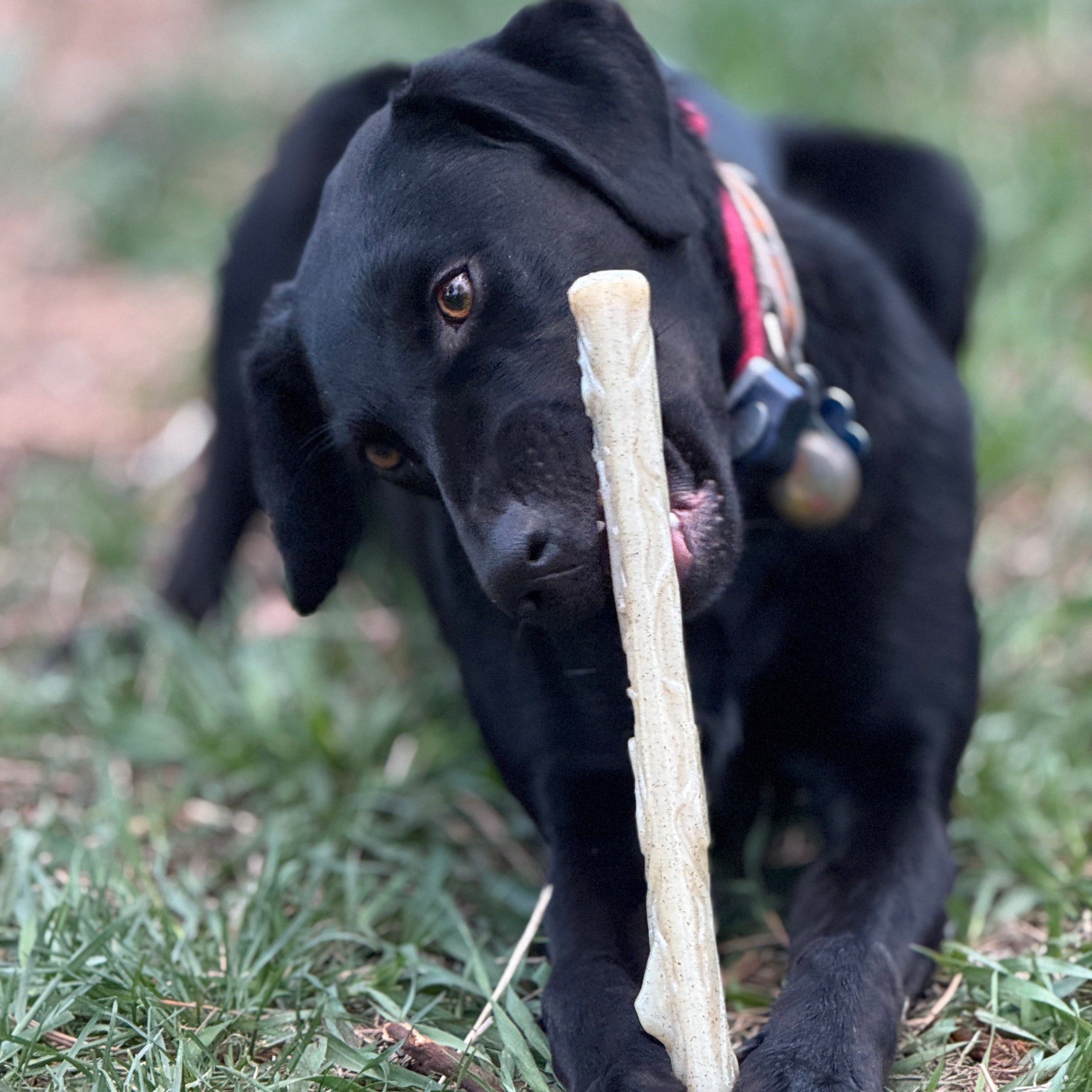 Durable Nylon Chew Stick for Power Chewers | Indestructible Dog Toy USA