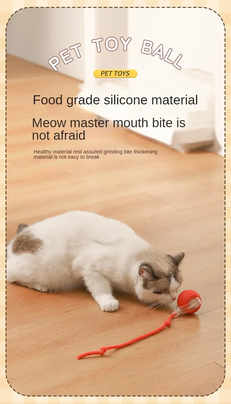 New Cat Interactive Ball Toy Automatic Rolling Ball Faux Tail Rechargeable Smart Pet Electric Toy Dog Cat Training Imitate Mouse