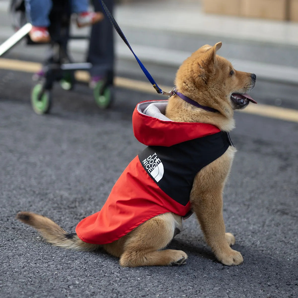 Waterproof Raincoat Jacket for Dogs Teddy Spring Autumn Handsome Pet Clothing Popular Doggy Outerwear