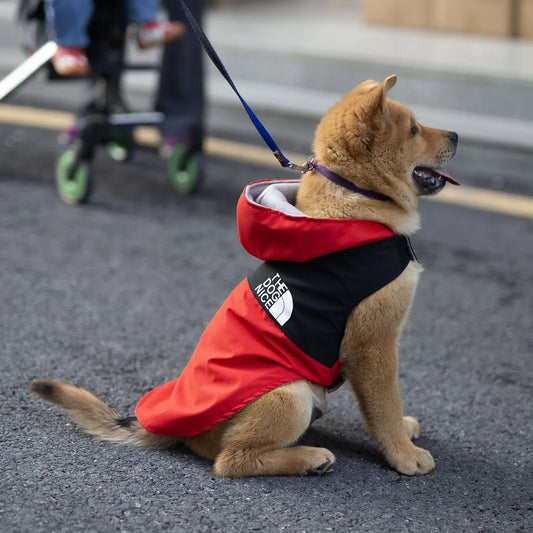 Waterproof Raincoat Jacket for Dogs Teddy Spring Autumn Handsome Pet Clothing Popular Doggy Outerwear