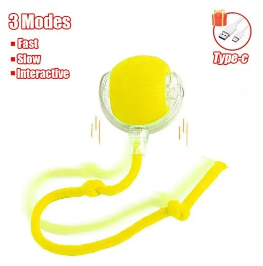 Interactive Cat Toy Ball – Super Drive Rolling Toy