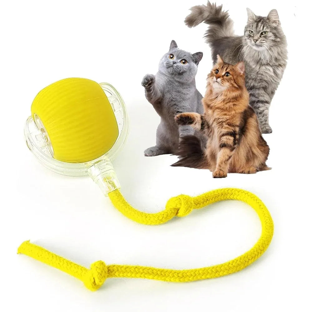 Pet Toy Ball with Tail Rope，Smart Automatic Pet Chase Ball Toy, Upgraded Speedy Tail Kitten Toy for Bored Indoor Adult Pets