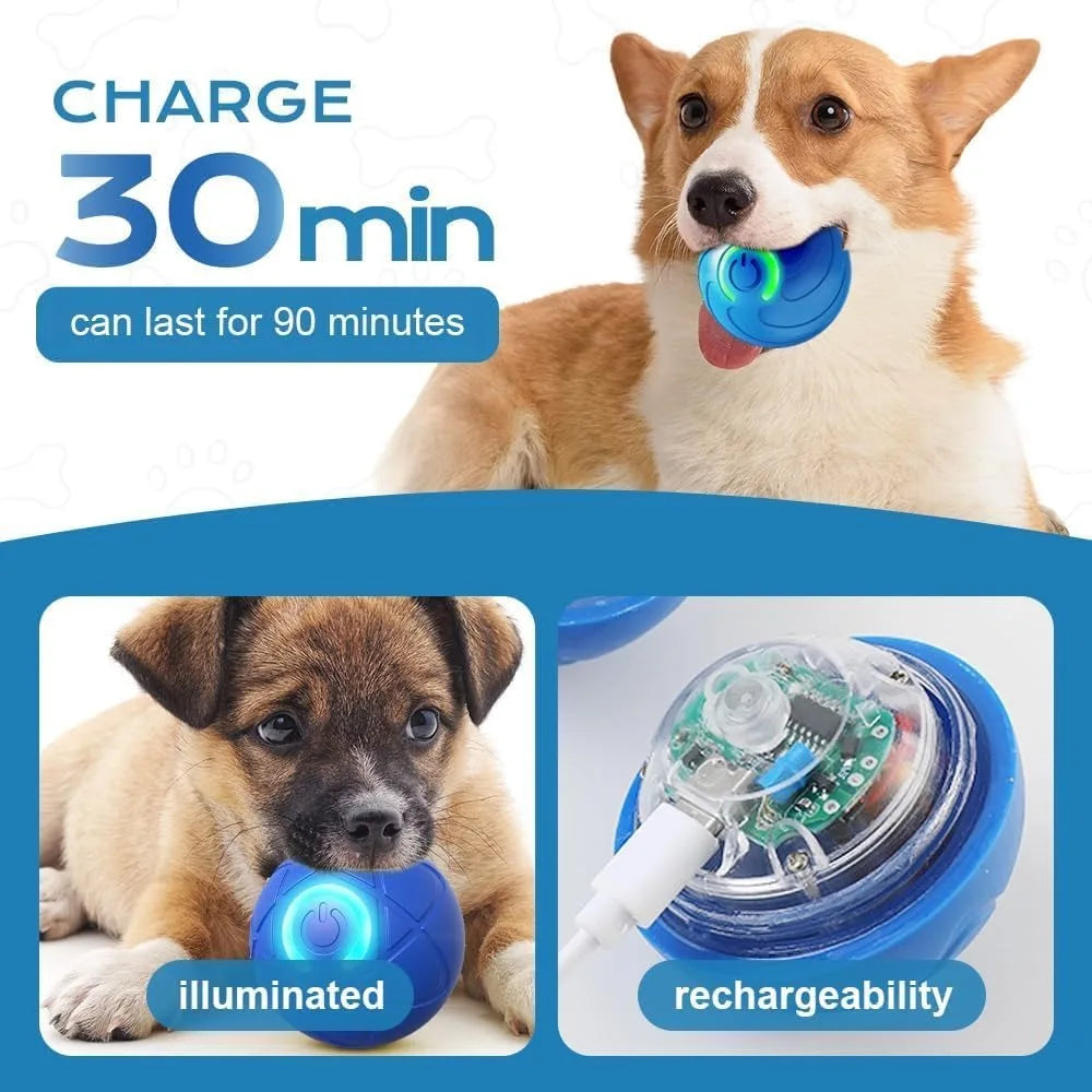 Pet Toy Ball with Tail Rope，Smart Automatic Pet Chase Ball Toy, Upgraded Speedy Tail Kitten Toy for Bored Indoor Adult Pets