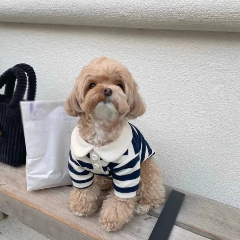 Striped Dog Shirt for Small Dogs Breathable Cotton Pet T-Shirt for Teddy Bichon Schnauzer Spring Summer Autumn Puppy Clothes