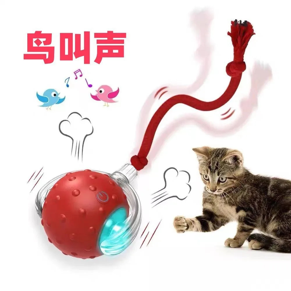 Interactive Cat Toy Ball – Super Drive Rolling Toy