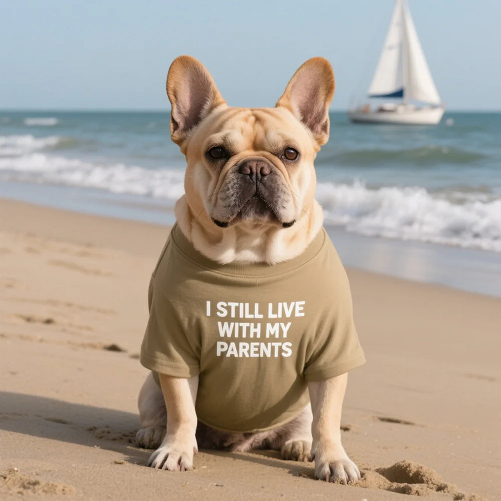 French Bulldog Dog Shirts Cotton Letters T-Shirt, Summer Clothes for Small Dogs, Soft Puppy Apparel Cat Tee, Breathable Stretchy
