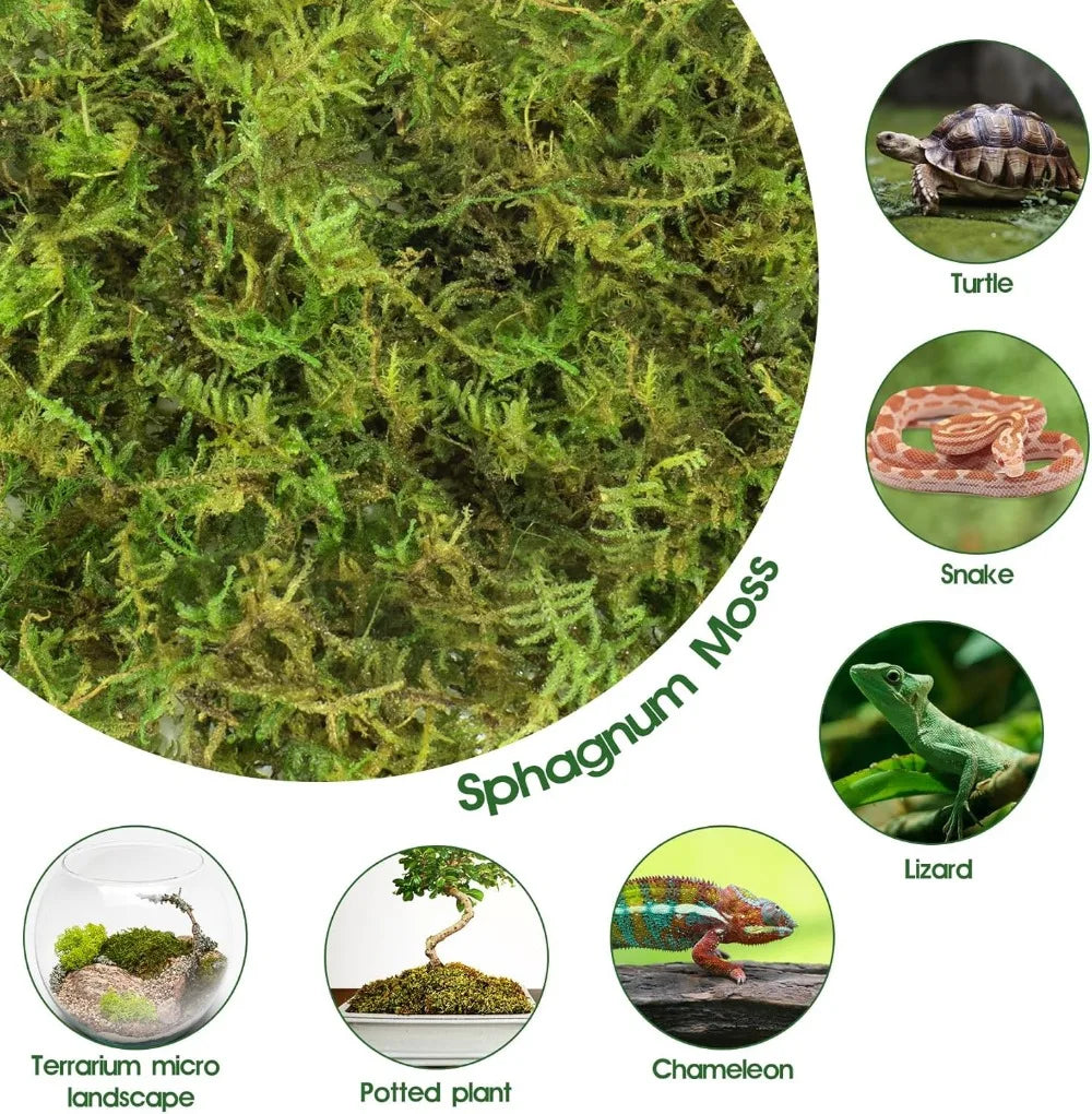14OZ Natural Sphagnum Moss for Reptiles, Terrarium Bedding & Substrate for Snakes, Gecko, Frogs (50QT)