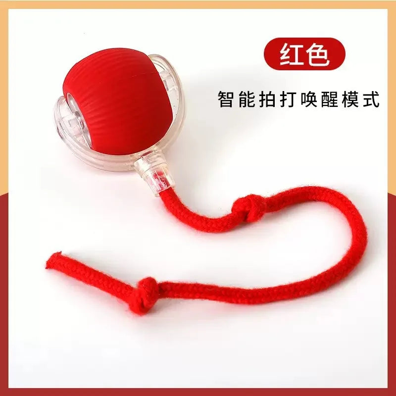 Interactive Cat Toy Ball – Super Drive Rolling Toy