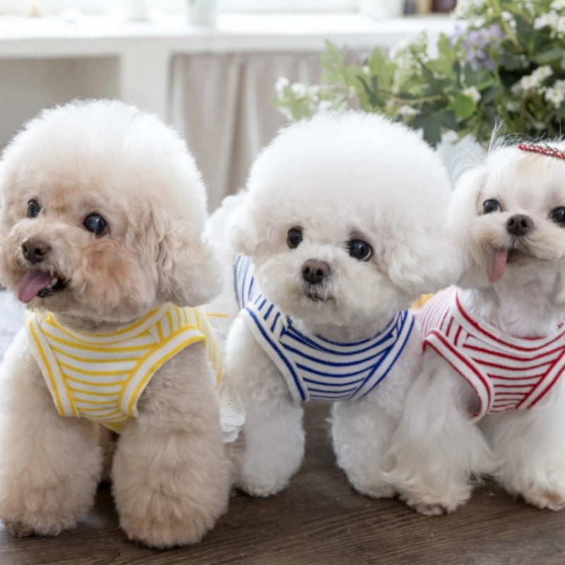 Pet Thin Striped Dress Dog Teddy Small Dog Yorkshire Lace Vest Dog Dresses for Small Dogs Puppy Clothes