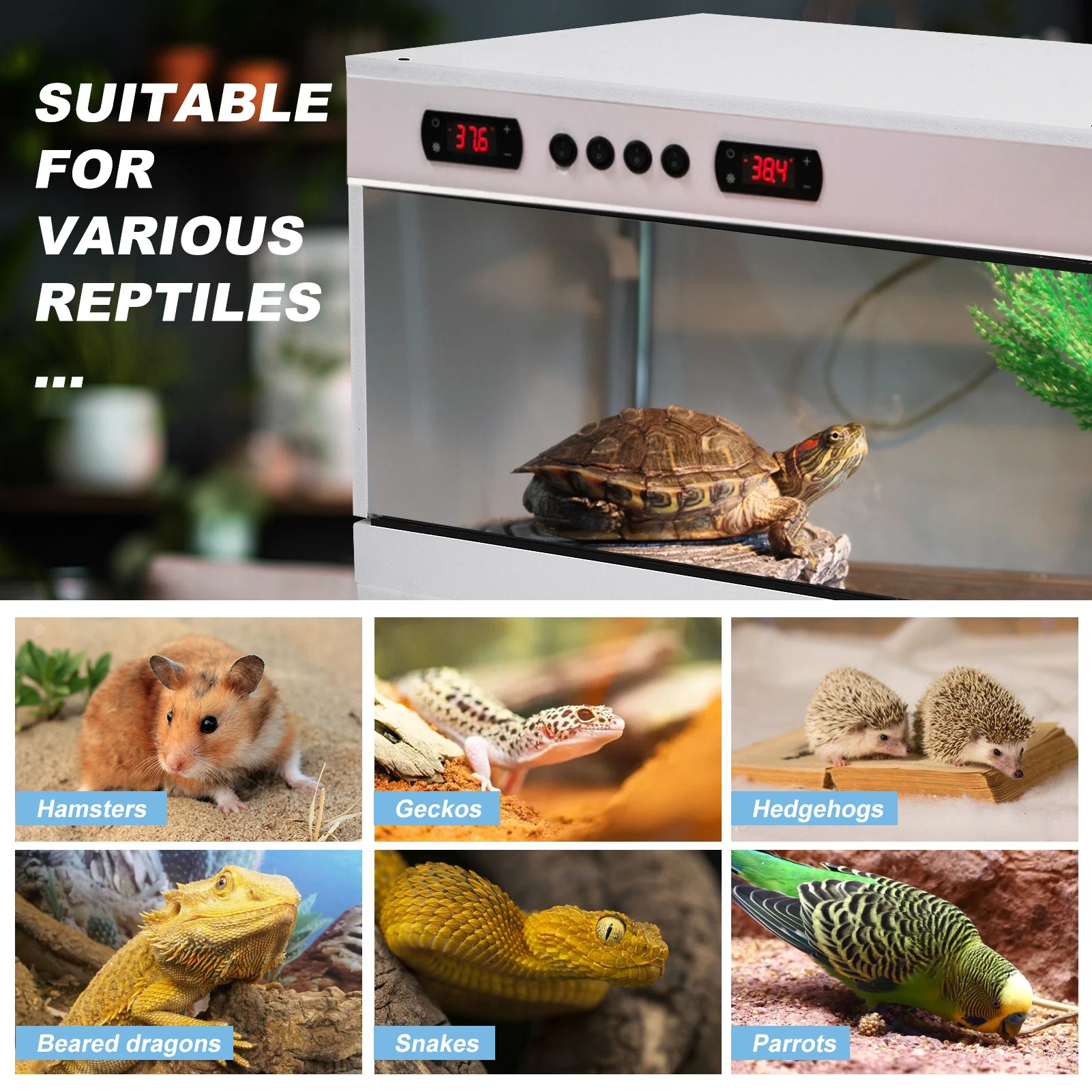 Stackable Reptile Terrarium, PVC Bearded Dragon Enclosure – Tempered Glass Tank for Amphibians Reptilians Arachnids Pets Habitat
