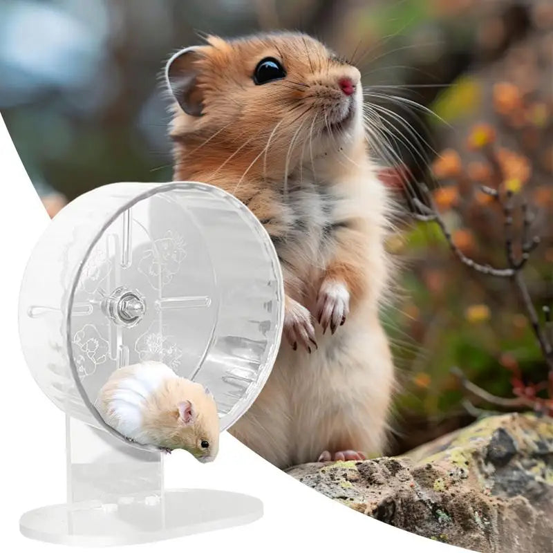 Silent Transparent Hamster Wheel 7.1 in (18 cm) Acrylic Exercise Wheel for Hamsters & Gerbils