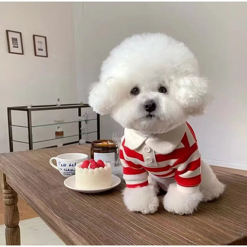 Striped Dog Shirt for Small Dogs Breathable Cotton Pet T-Shirt for Teddy Bichon Schnauzer Spring Summer Autumn Puppy Clothes