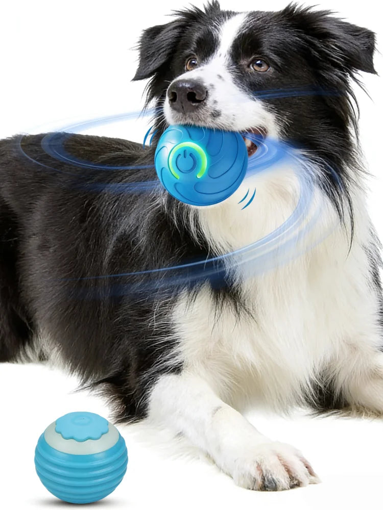 Pet Toy Ball with Tail Rope，Smart Automatic Pet Chase Ball Toy, Upgraded Speedy Tail Kitten Toy for Bored Indoor Adult Pets