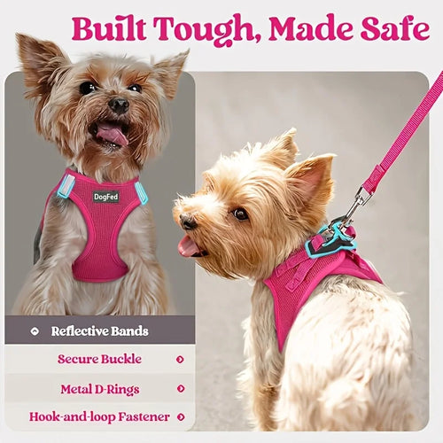 1Set Dog Harness and Leash Set, All Weather Breathable Mesh Vest, Reflective Soft Lightweight Pet Walking Vest