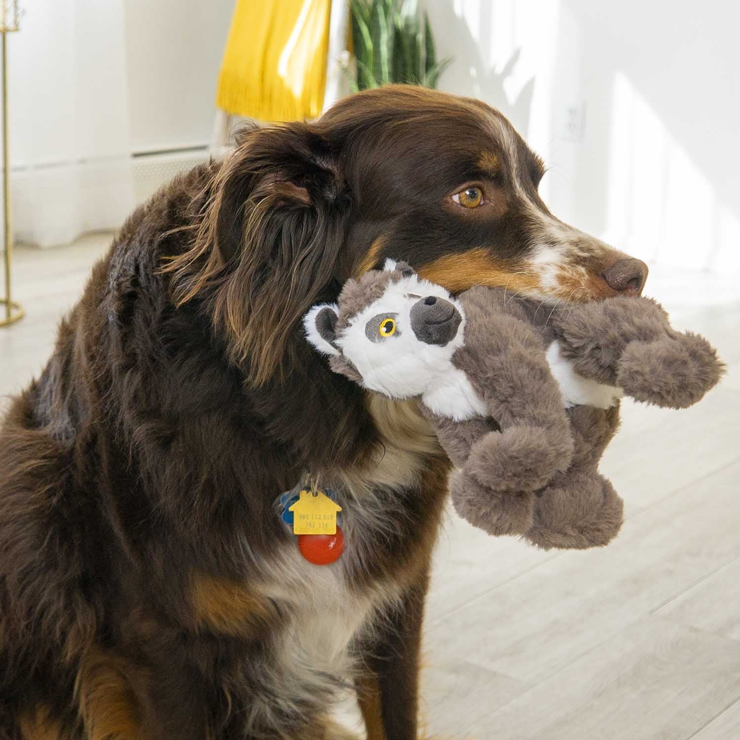 Kong Scampers Lemur Medium for Dogs