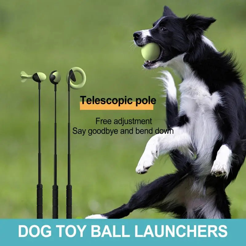 Retractable Dog Ball Launcher - 23.6" Carbon Fiber Throwing Pole
