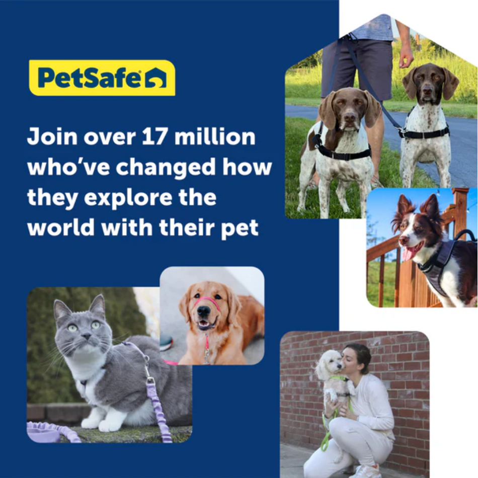 Petsafe Easy Walk Dog Harness Black Small