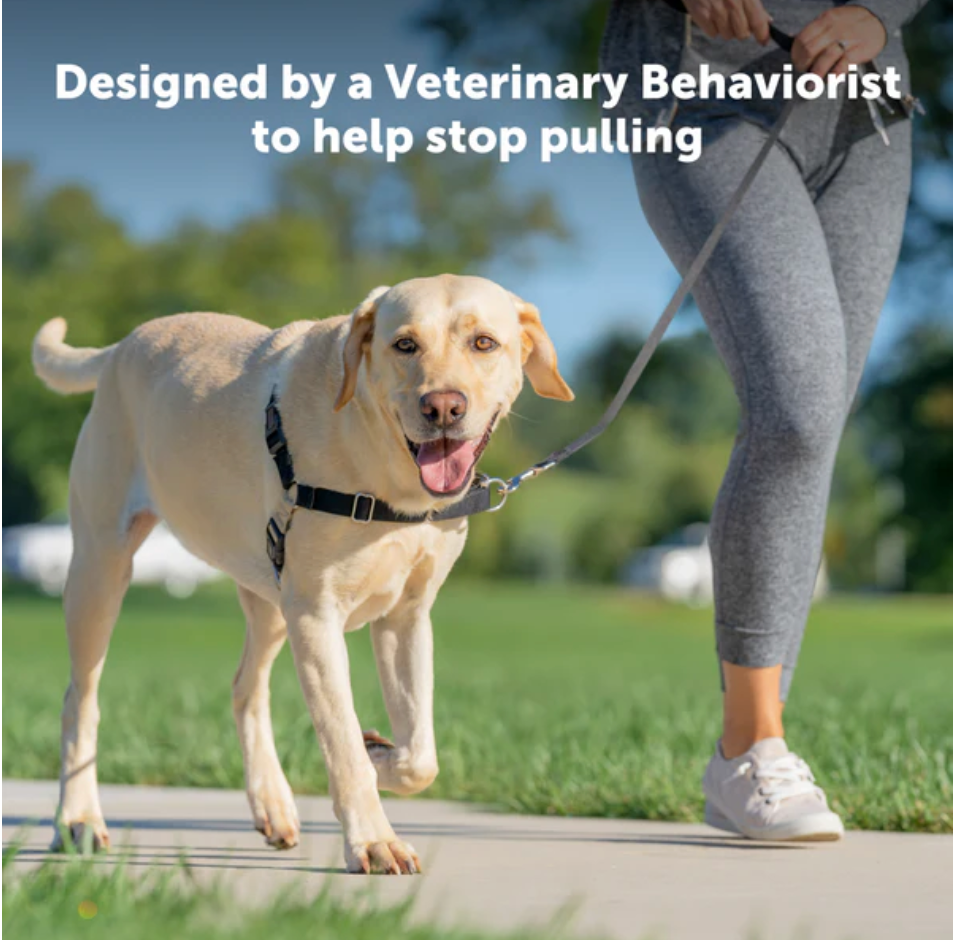 Petsafe Easy Walk Dog Harness Black Medium