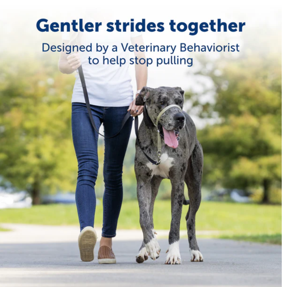 Petsafe Gentle Leader® Headcollar, No-Pull Dog Collar Black Medium