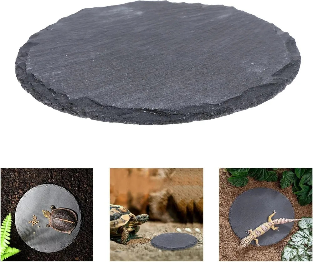 Natural Slate Reptile Basking Platform for Bearded Dragon, Lizard, Gecko Habitat Decor