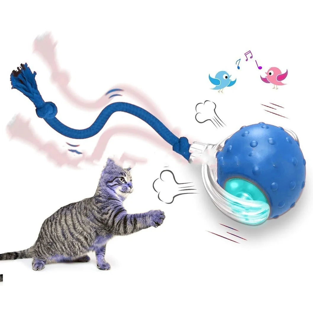 Interactive Cat Toy Ball – Super Drive Rolling Toy