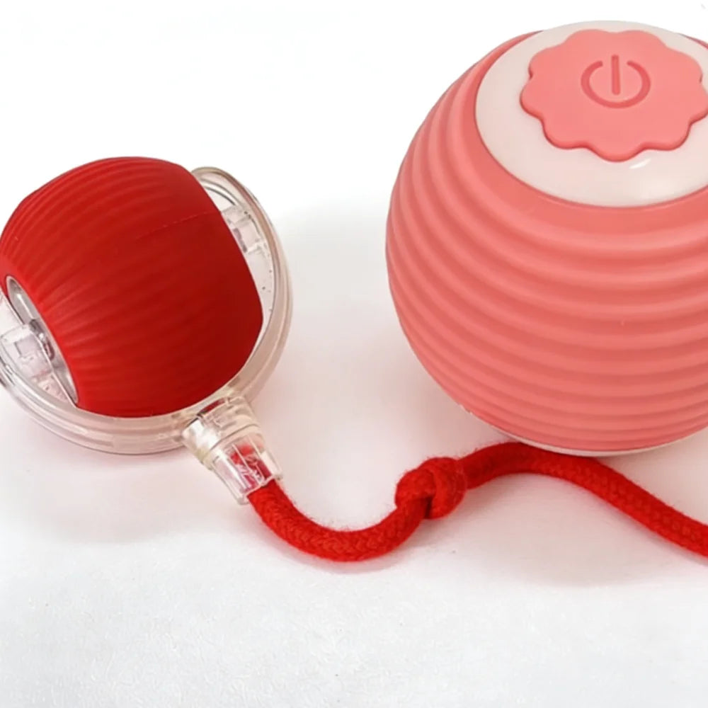 Pet Toy Ball with Tail Rope，Smart Automatic Pet Chase Ball Toy, Upgraded Speedy Tail Kitten Toy for Bored Indoor Adult Pets