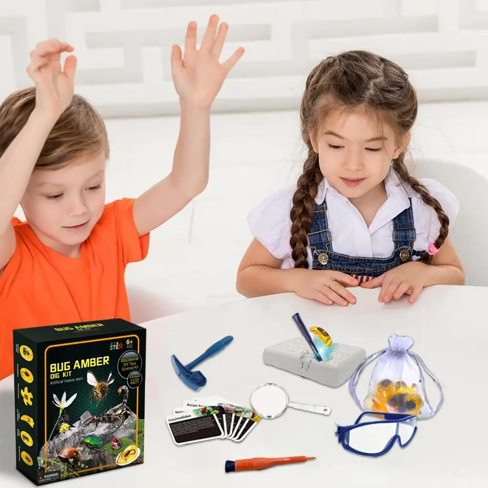 Excavate Fly Toys Kit Amber Excavation Toys Fly Model Interactive STEM Toy Science Kits Educational Toys Dig Set Animal