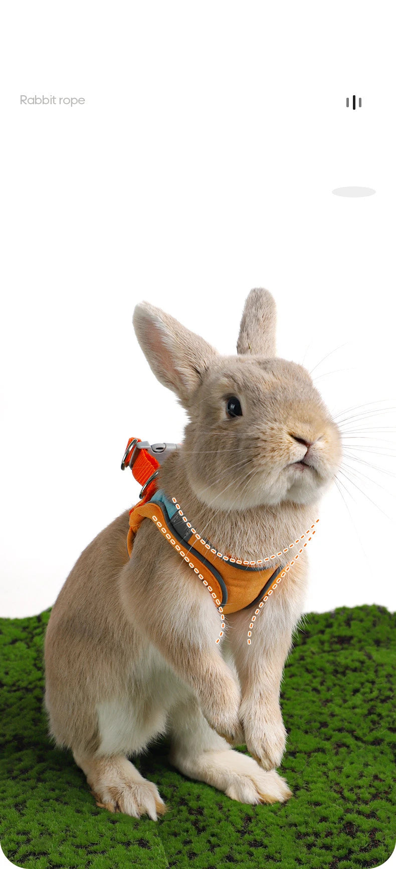 Adjustable Bunny Harness and Leash Set Double Buckle with Reflective Strips Rabbit Vest Pets Stuff Suitable for Rabbit Walks