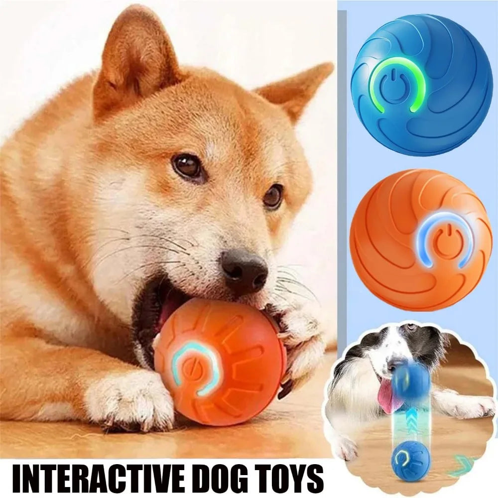 Pet Toy Ball with Tail Rope，Smart Automatic Pet Chase Ball Toy, Upgraded Speedy Tail Kitten Toy for Bored Indoor Adult Pets