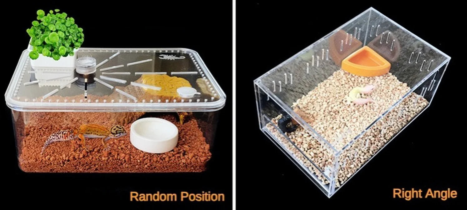 Reptile Water Food Bowl Worm Dish Ceramic Pet Bowls Anti-Escape Mini Reptile Mealworms Bowl for Lizard Bearded Dragon
