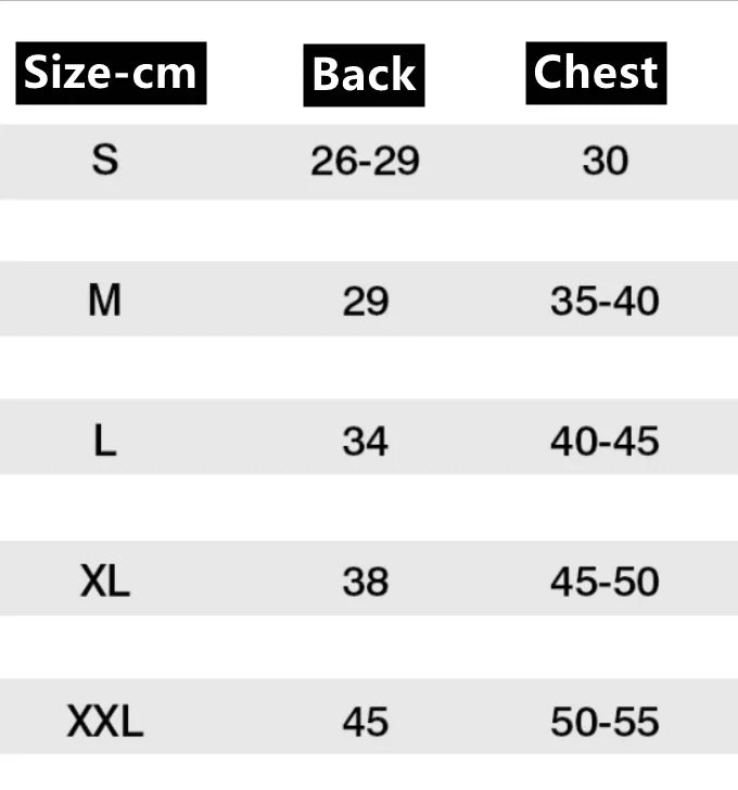 Love-Themed Embroidery Design Comfortable Pet Jeans For Small Dogs Terriers Beagles, Poodles Maltese Belted Pants