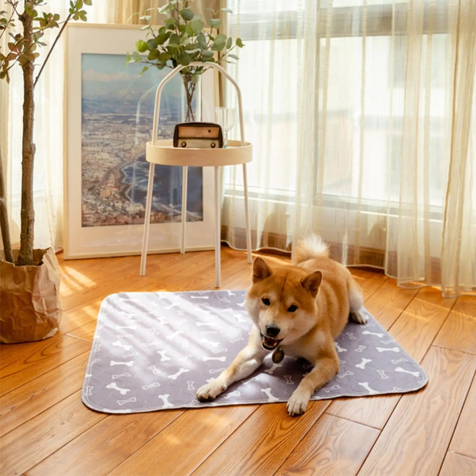 Dog Pee Pads Fast Absorbent Pet Training Mat Reusable Washable Absorbent Pee Pads For Home Potty Playpen Crate Litter pad