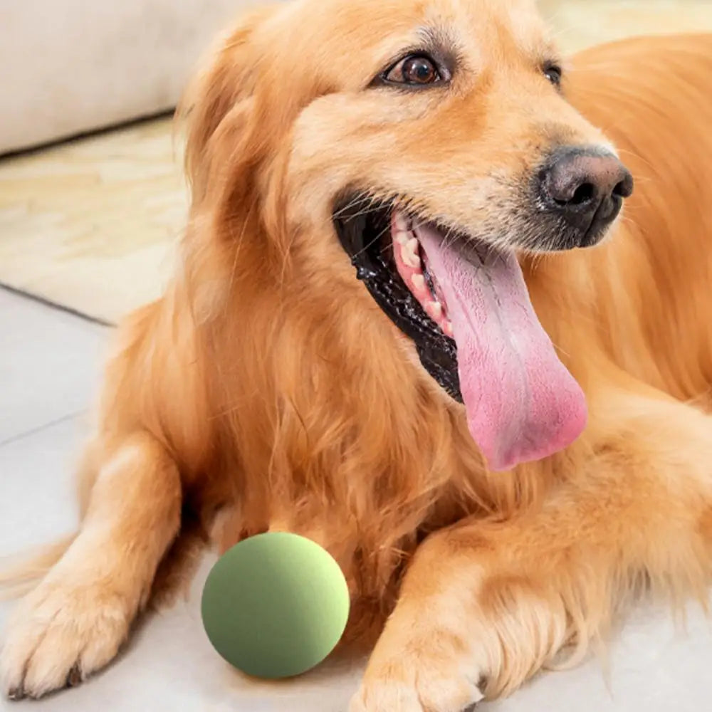 Retractable Dog Ball Launcher - 23.6" Carbon Fiber Throwing Pole