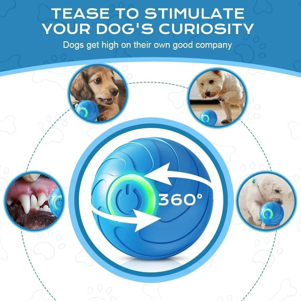 Pet Toy Ball with Tail Rope，Smart Automatic Pet Chase Ball Toy, Upgraded Speedy Tail Kitten Toy for Bored Indoor Adult Pets
