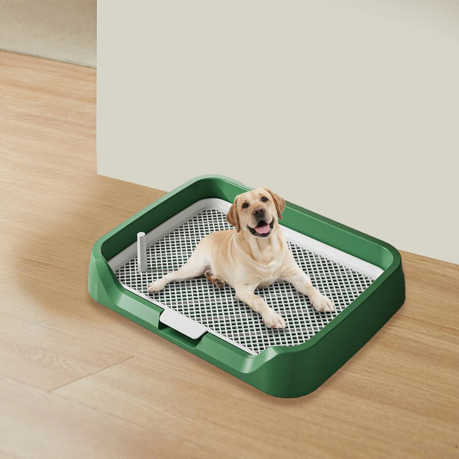 Pee Pad Holder Potty Pads Reusable Mesh Open Top Training Toilet Potty Tray Comfortable Toilet with Protection for Large Puppy