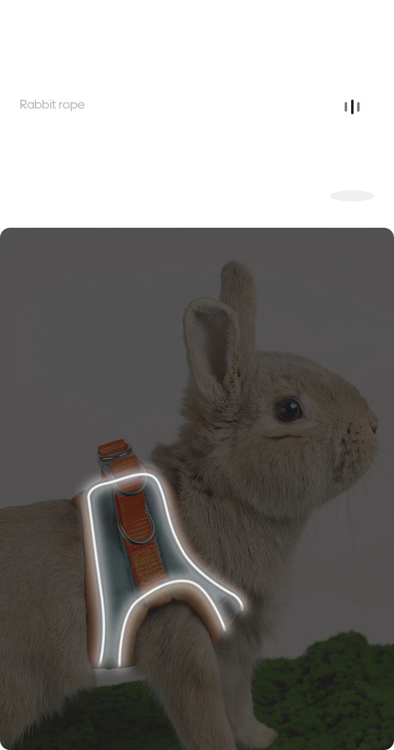 Adjustable Bunny Harness and Leash Set Double Buckle with Reflective Strips Rabbit Vest Pets Stuff Suitable for Rabbit Walks
