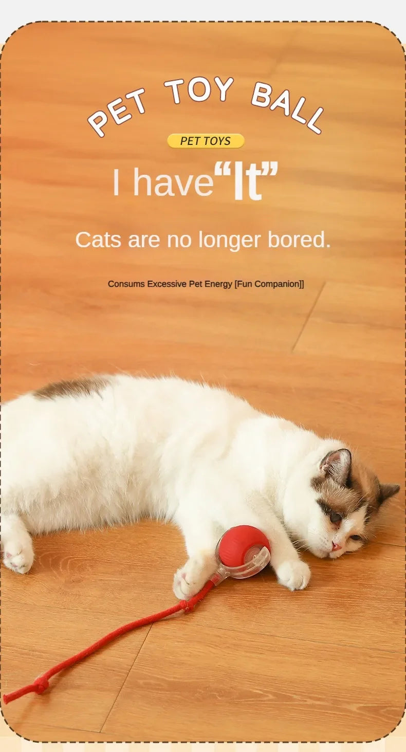 New Cat Interactive Ball Toy Automatic Rolling Ball Faux Tail Rechargeable Smart Pet Electric Toy Dog Cat Training Imitate Mouse