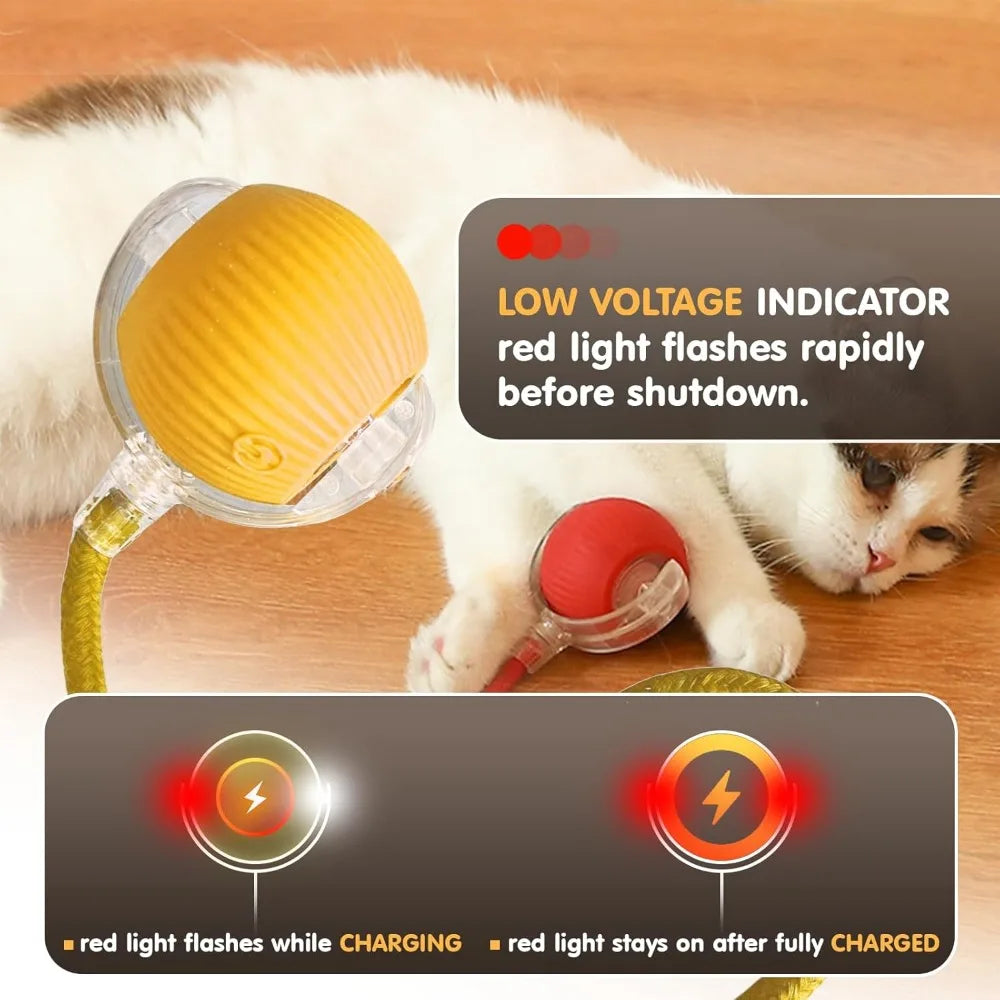 Pet Toy Ball with Tail Rope，Smart Automatic Pet Chase Ball Toy, Upgraded Speedy Tail Kitten Toy for Bored Indoor Adult Pets