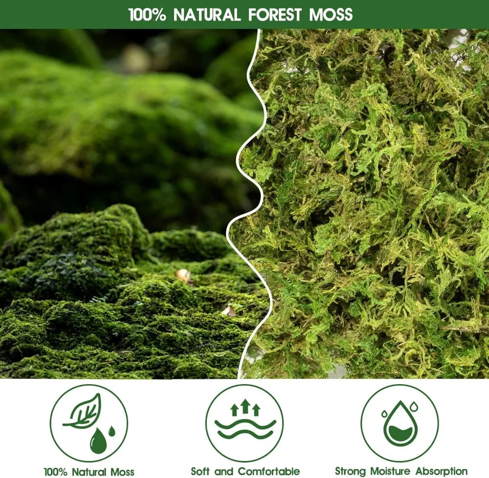 14OZ Natural Sphagnum Moss for Reptiles, Terrarium Bedding & Substrate for Snakes, Gecko, Frogs (50QT)
