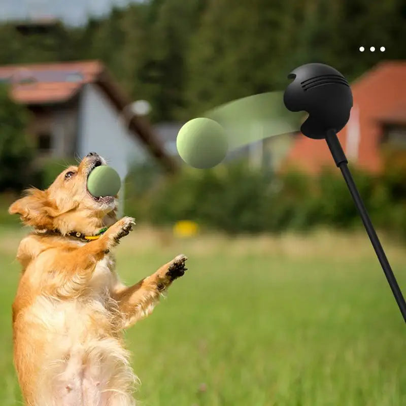 Retractable Dog Ball Launcher - 23.6" Carbon Fiber Throwing Pole