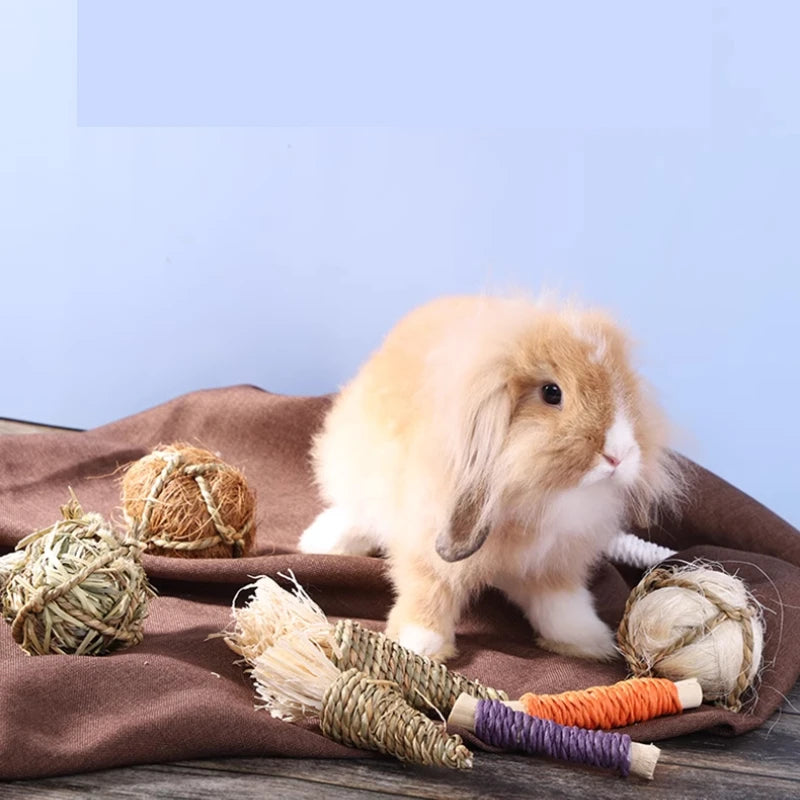 2pcs Small Animals Play Balls Rolling Activity Chew Toys Gnawing Treats for Rabbits Guinea Pigs Chinchilla Bunny Natural Balls