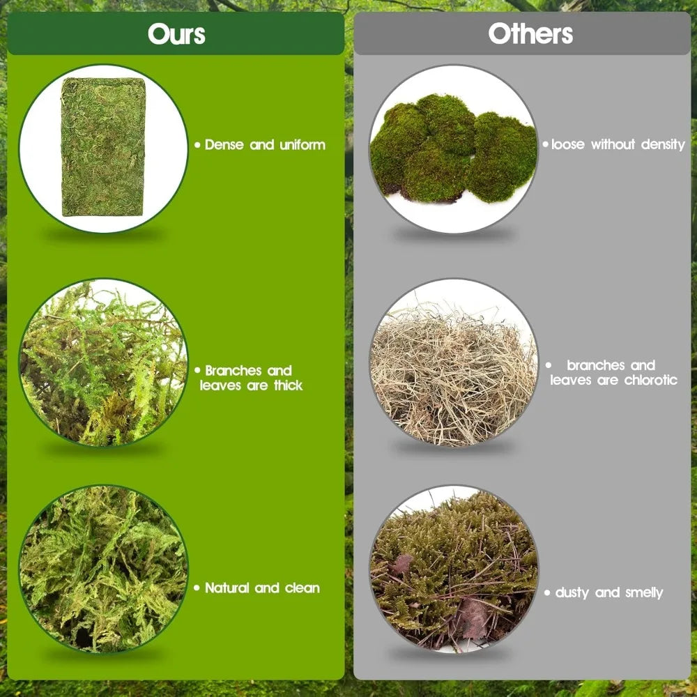 14OZ Natural Sphagnum Moss for Reptiles, Terrarium Bedding & Substrate for Snakes, Gecko, Frogs (50QT)