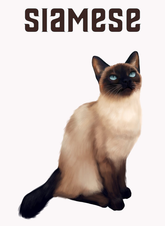 Siamese Cat T-Shirt