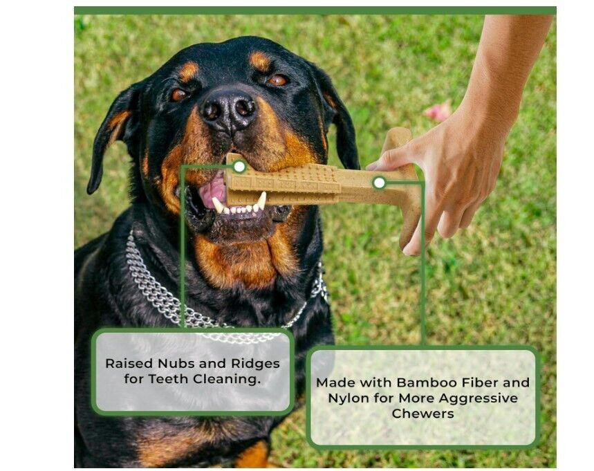 SPOT Bam-Bones plus T Bone - Bamboo Fiber & Nylon, Durable Long Lasting Dog Chew