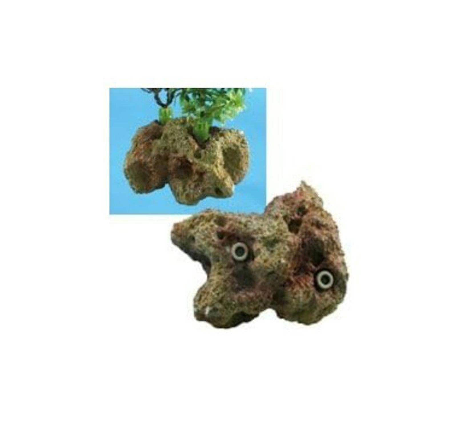 Coral Plant Base Brown (Small)