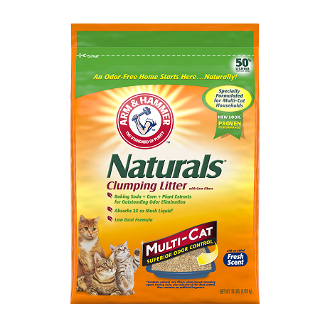 Arm & Hammer Essential Double Duty Clump Litter (9lb)
