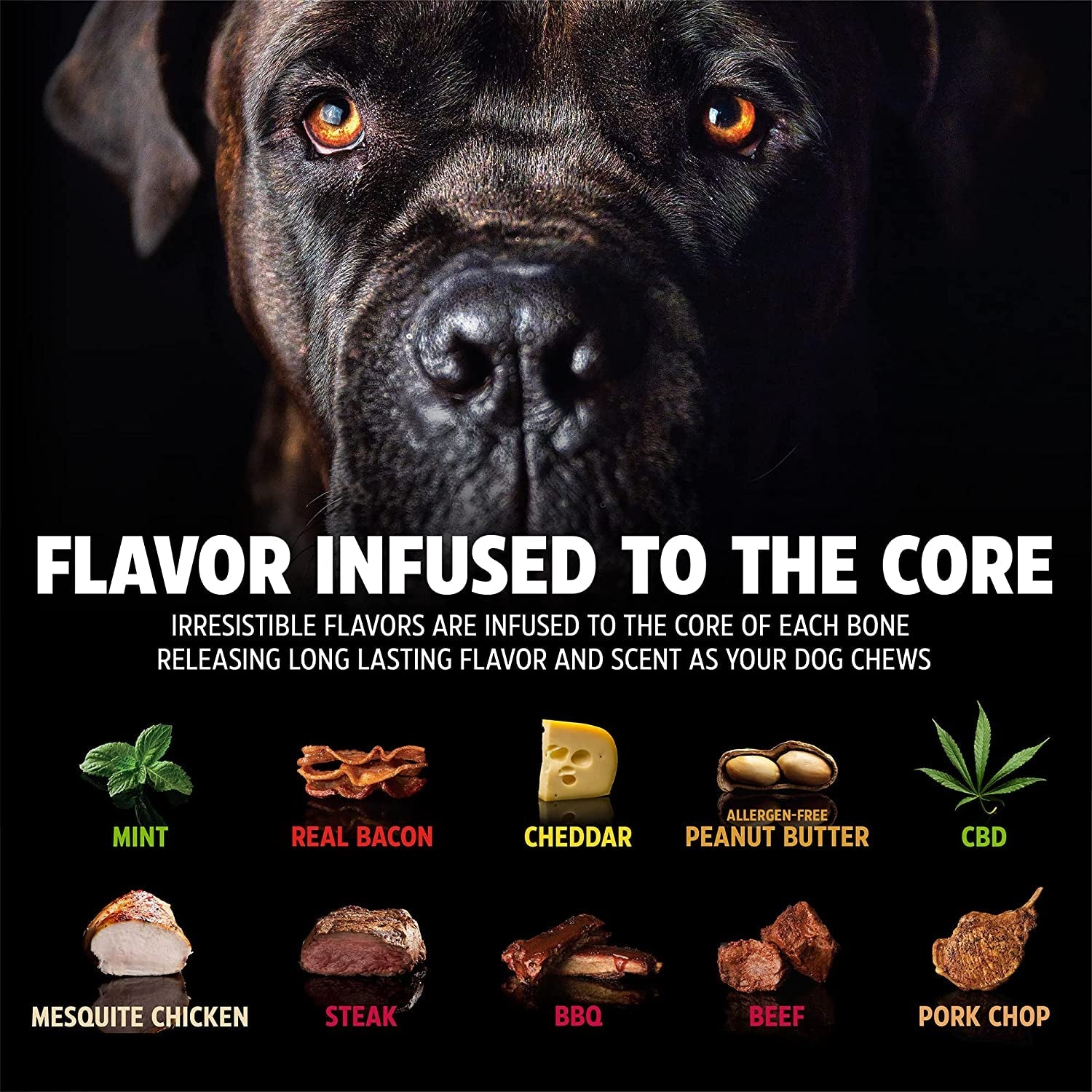 Nylon Dog Bone for Aggressive Chewers